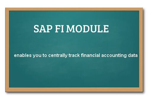 SAP FI ( Financial Accounting ) Module tutorial - PDF Training Materials