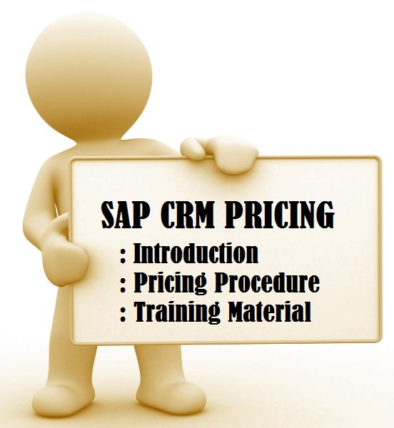 SAP CRM Pricing tutorial and detailed PDF training material