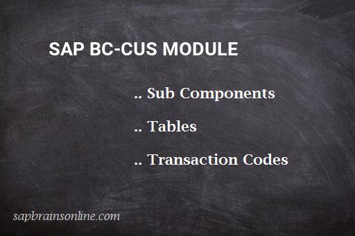 SAP BC-CUS module