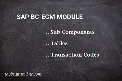 SAP BC-ECM module