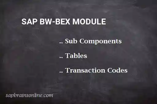 SAP BW-BEX module