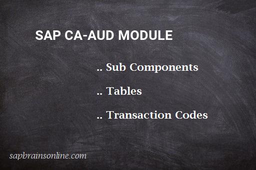 SAP CA-AUD module