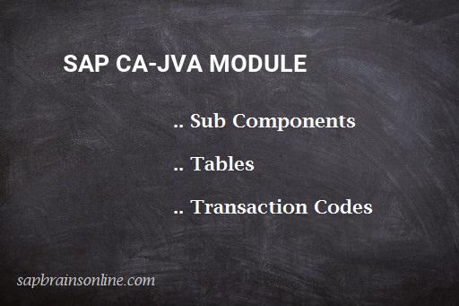 SAP CA-JVA module