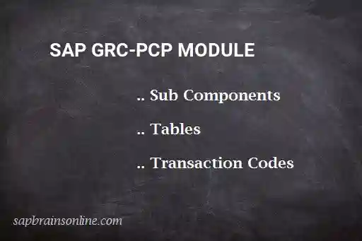 SAP GRC-PCP module
