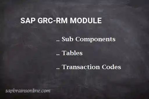 SAP GRC-RM module