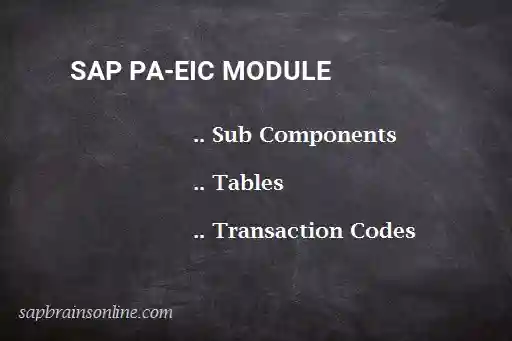 SAP PA-EIC module