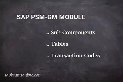 SAP PSM-GM module