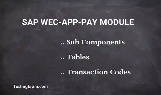 SAP WEC-APP-PAY module