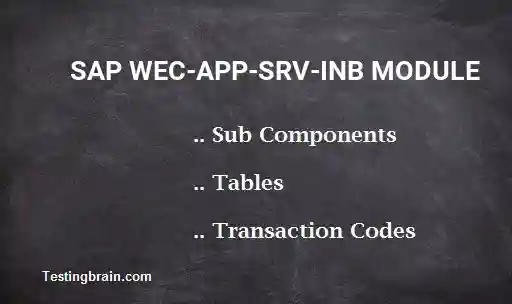 SAP WEC-APP-SRV-INB module