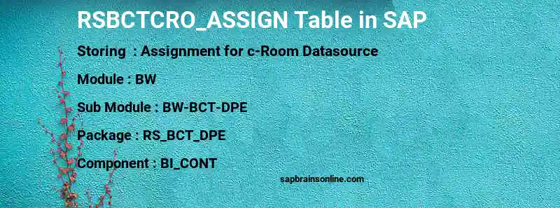 SAP RSBCTCRO_ASSIGN table