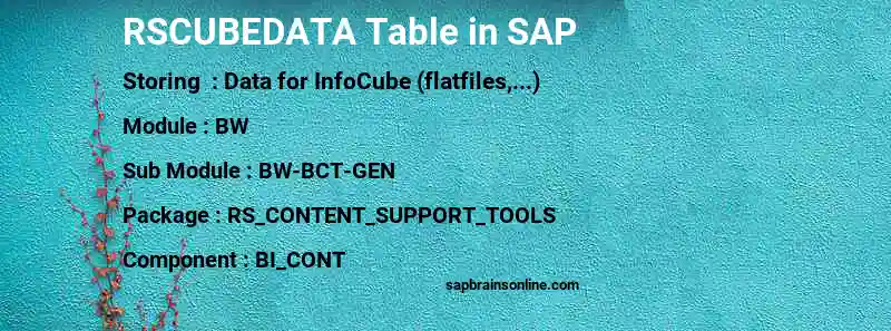 SAP RSCUBEDATA table