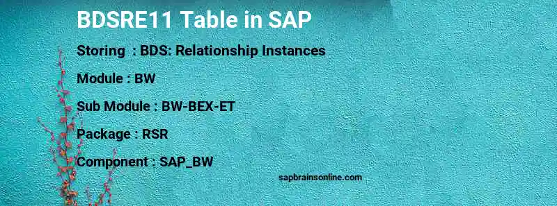 SAP BDSRE11 table