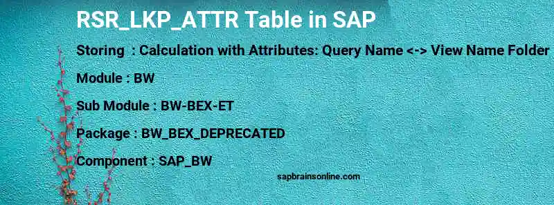 SAP RSR_LKP_ATTR table