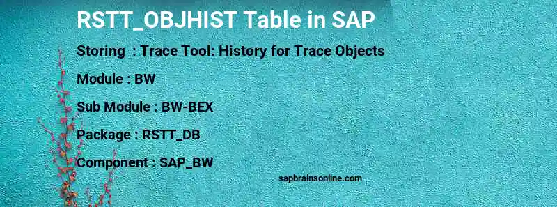 SAP RSTT_OBJHIST table