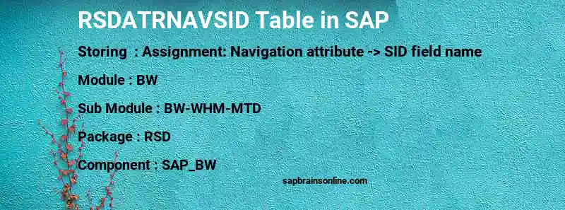 SAP RSDATRNAVSID table