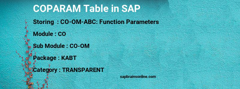 SAP COPARAM table