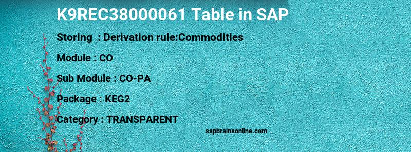 SAP K9REC38000061 table