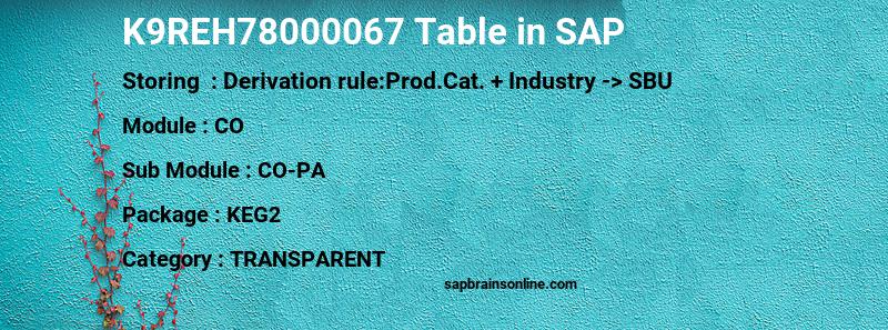 SAP K9REH78000067 table