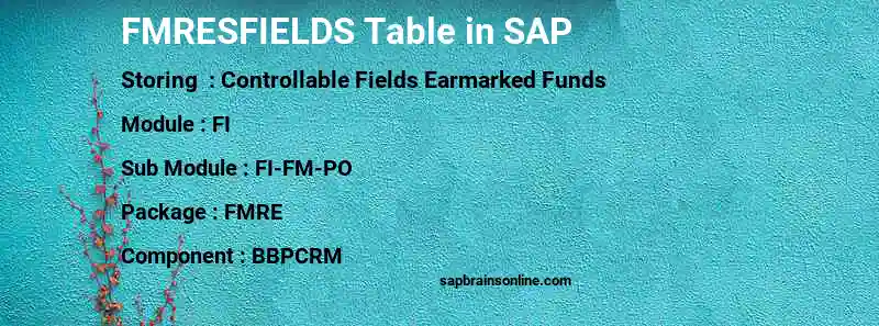 SAP FMRESFIELDS table
