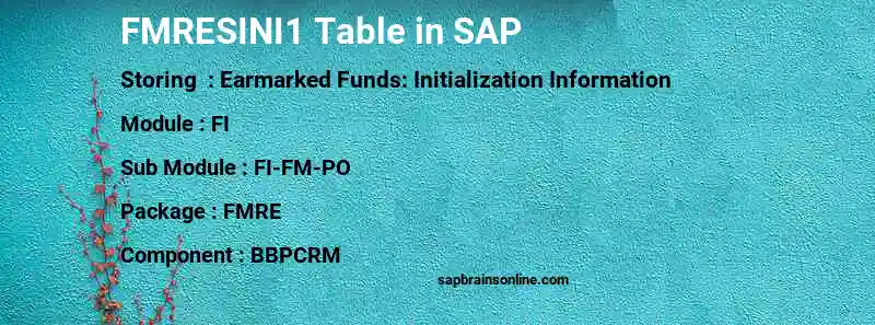 SAP FMRESINI1 table