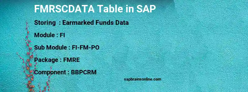 SAP FMRSCDATA table