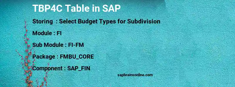 SAP TBP4C table