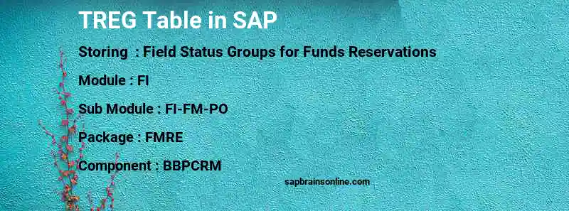 SAP TREG table