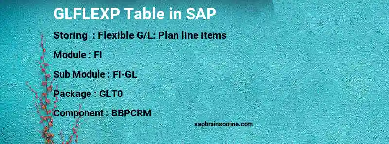 SAP GLFLEXP table