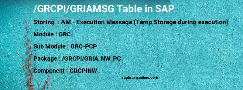 SAP /GRCPI/GRIAMSG table