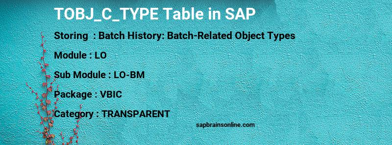 SAP TOBJ_C_TYPE table