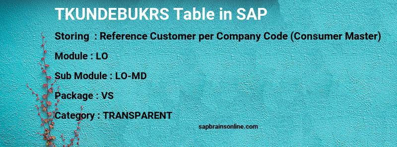 SAP TKUNDEBUKRS table