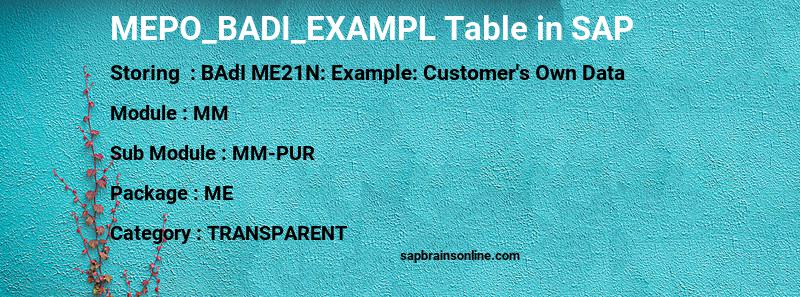 SAP MEPO_BADI_EXAMPL table