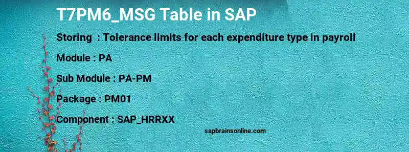 SAP T7PM6_MSG table