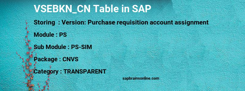 SAP VSEBKN_CN table