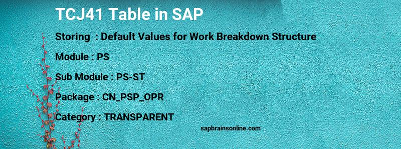 Tcj41 Sap Table For Default Values, In Which Table Does 41 Comes