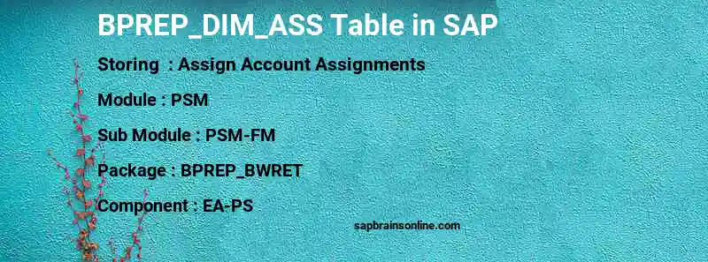 SAP BPREP_DIM_ASS table