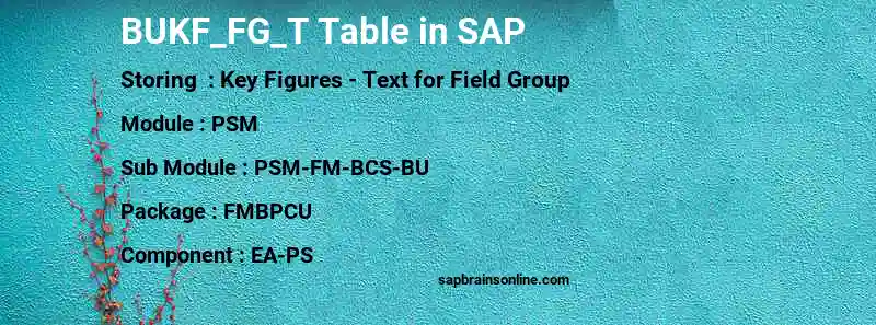SAP BUKF_FG_T table