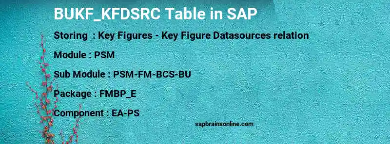 SAP BUKF_KFDSRC table