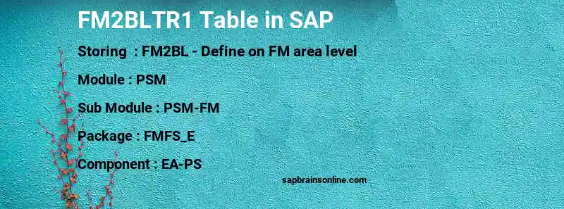 SAP FM2BLTR1 table