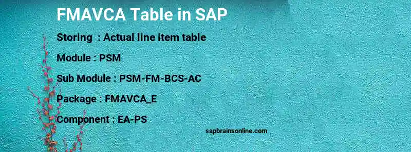 SAP FMAVCA table