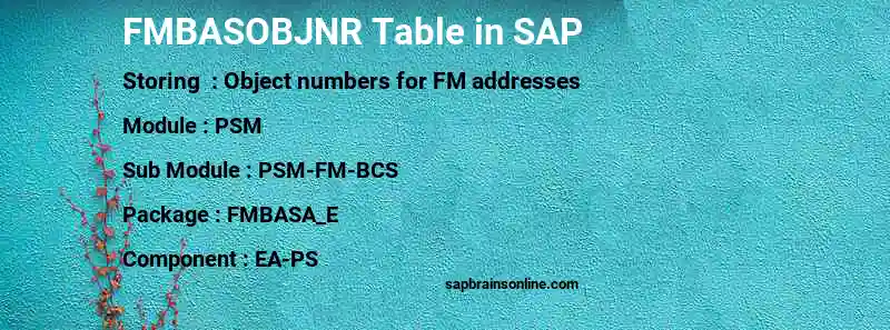 SAP FMBASOBJNR table