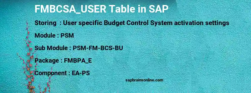 SAP FMBCSA_USER table