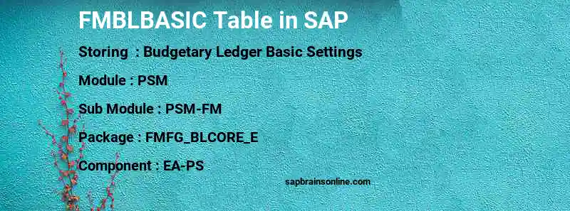 SAP FMBLBASIC table