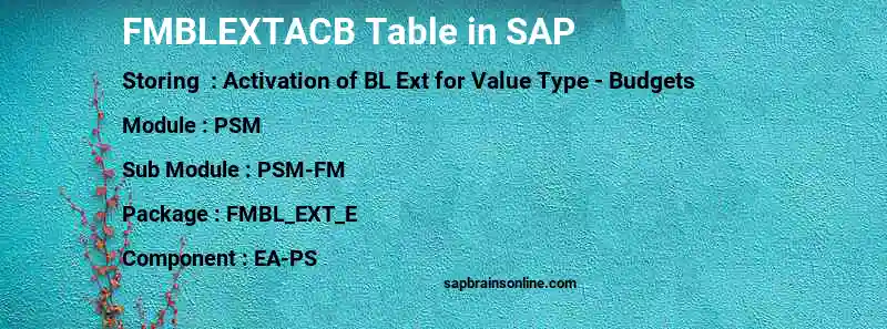 SAP FMBLEXTACB table