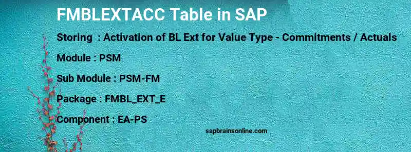 SAP FMBLEXTACC table