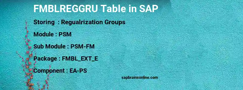 SAP FMBLREGGRU table