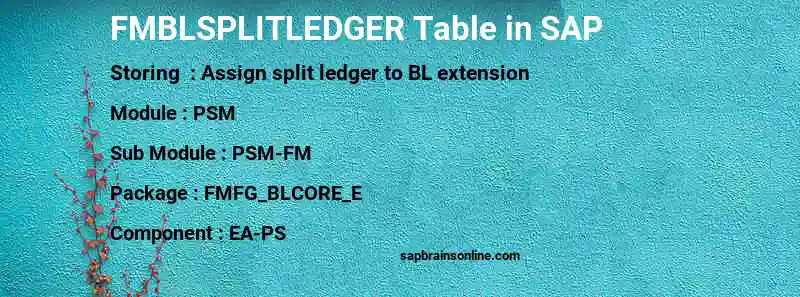 SAP FMBLSPLITLEDGER table