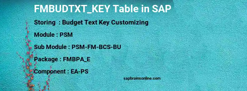 SAP FMBUDTXT_KEY table