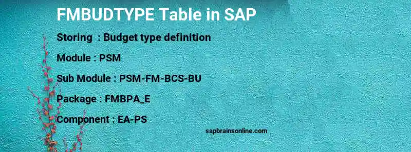 SAP FMBUDTYPE table
