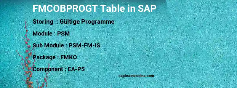 SAP FMCOBPROGT table